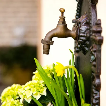 Zum Grunewald Hotel 3*