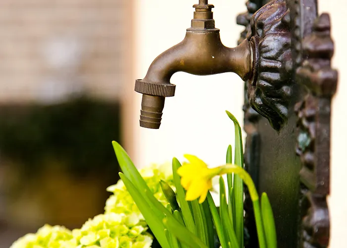 Zum Grunewald Hotel 3*